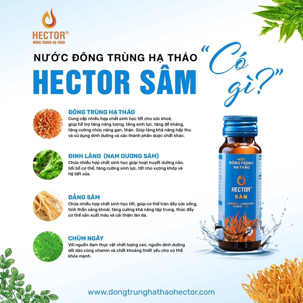 Nước Đông trùng Hạ thảo Hector Sâm