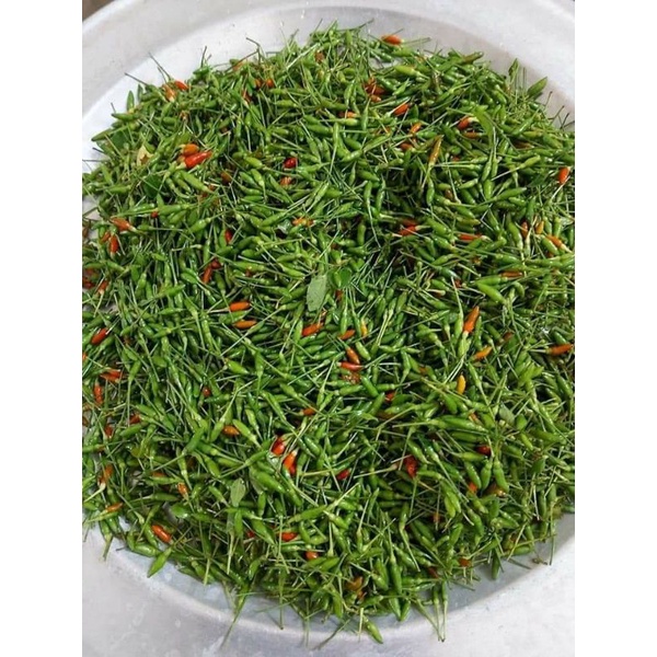 Ớt Gió Hà Giang quả tươi 1kg