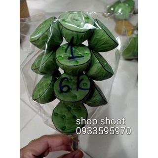GƯƠNG SEN GIẤY(1 cái)