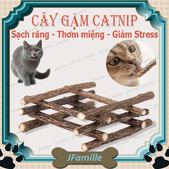 [1CÂY GẶM-CẢ NHÀ VUI]Que Gỗ Catnip Cho Mèo JFamille, Giảm Stress, Làm Sạch Răng, Loại Bỏ Búi Lông. JF155