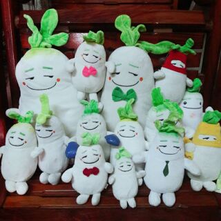 Sét củ cải size 10cm_40cm ( mộng tuyền )