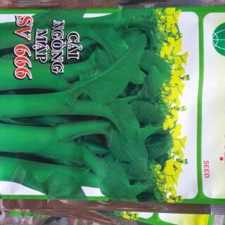 Combo 100k 10 gói hạt rau các loại