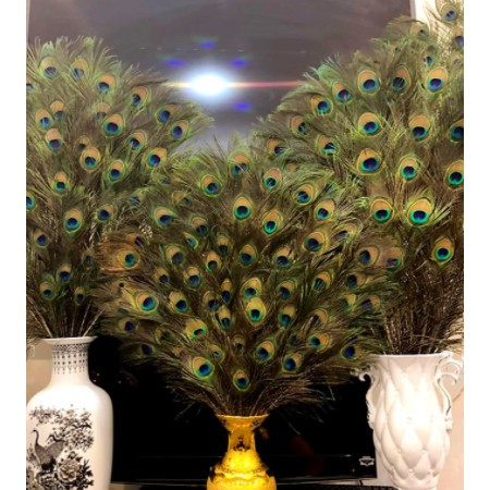 Lông công trang trí phong thủy thu hút tài lộc may mắn sung túc cho gia đình chủ nhân dài 90-120cm | BigBuy360 - bigbuy360.vn