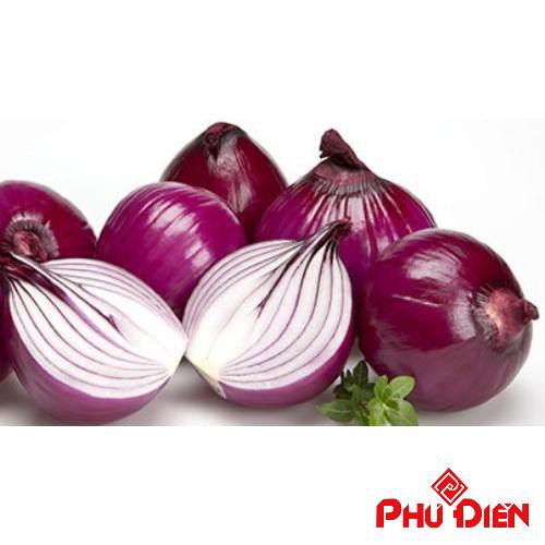 Gói 200 hạt giống hành tây tím PHÚ ĐIỀN