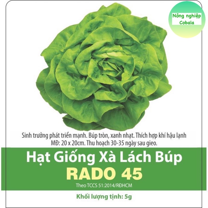 Hạt Giống Xà Lách Búp (Xà Lách Đăm) 5gr