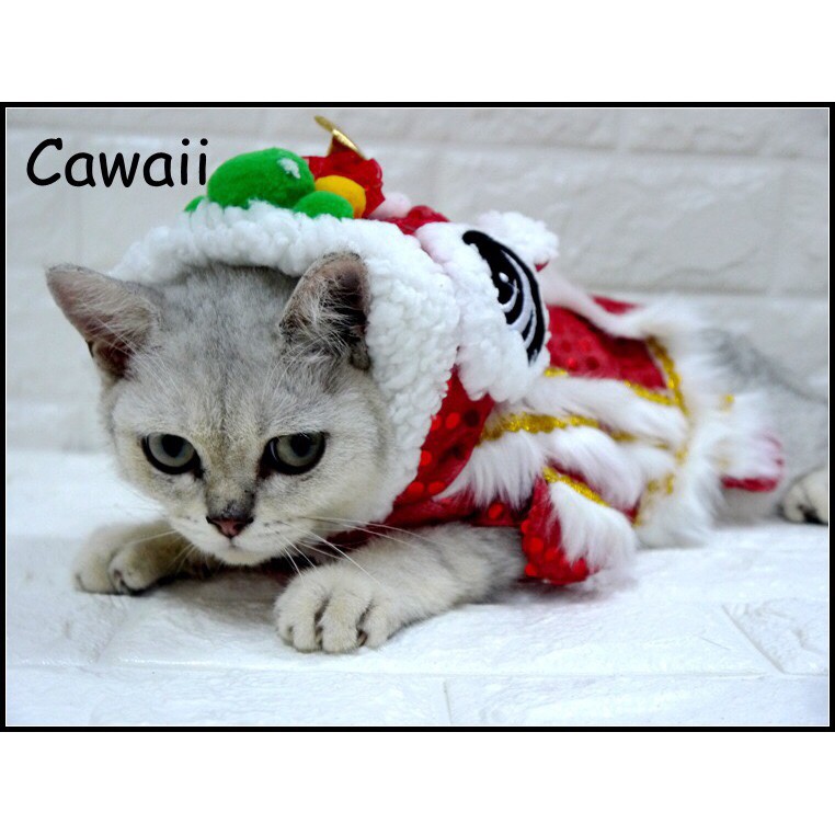 Áo Lân Cho Thú Cưng