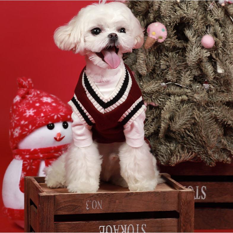 Áo len cổ chữ V lót nhung thời trang thu đông tùy chọn màu sắc cho thú cưng