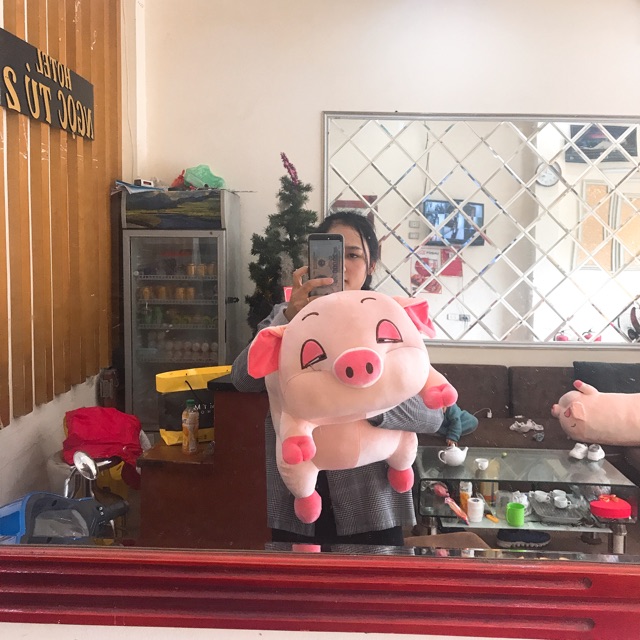 -  gấu bông heo phê cần