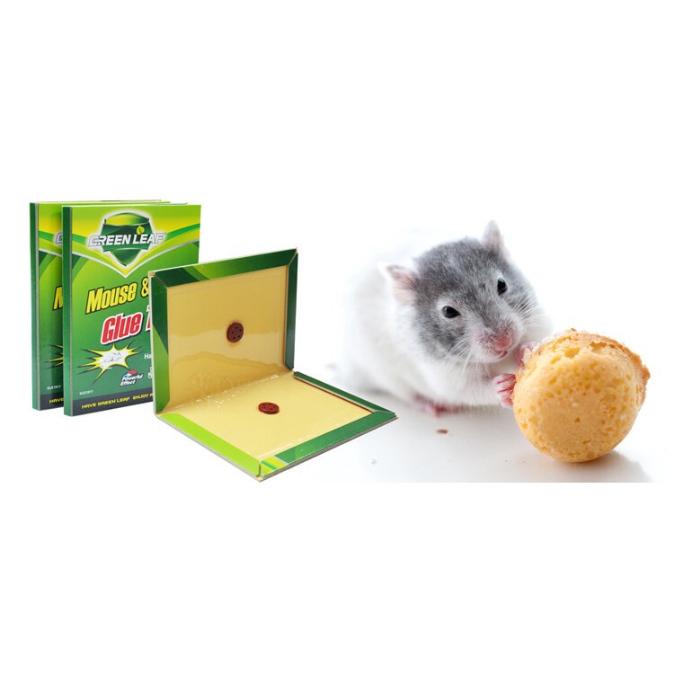 Keo bẫy chuột - Keo siêu dính chuột loại 1 [ BH 1 đổi 1] 3 ngày