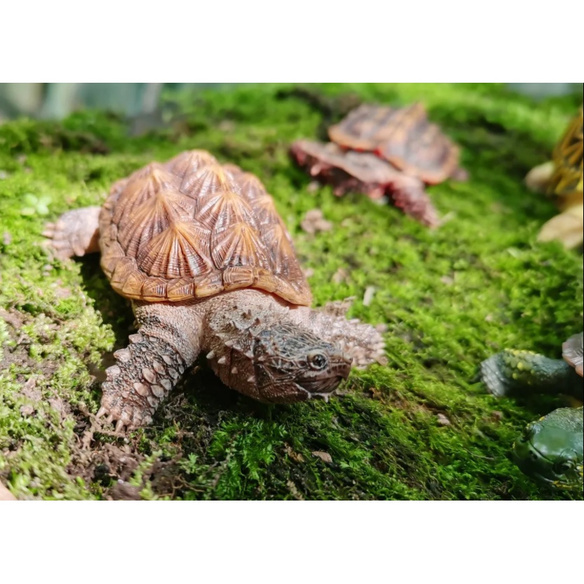 Tượng trang trí rùa cá xấu mini hãng TuTuZoo Studio