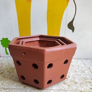 Bộ chậu trồng lan - Chậu lục giác