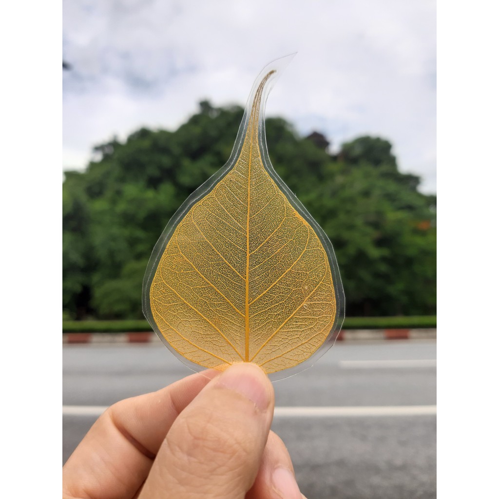 Lá Bồ Đề dát vàng tự nhiên | BigBuy360 - bigbuy360.vn