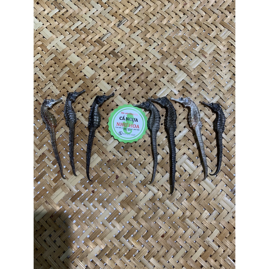 Cá ngựa khô 8-9 cm