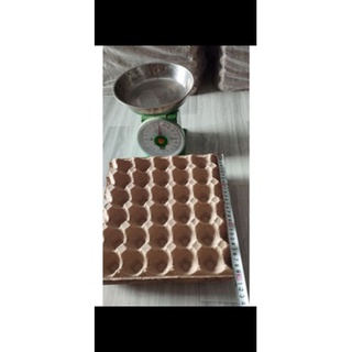 set 10 cái vĩ giấy nuôi dế