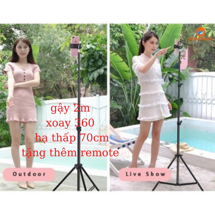 Gậy livestream, giá đỡ điện thoại ,gậy quay video tiktok tripod có giá đỡ điện thoại chân 2m1 có kẹp,LOẠI XỊN