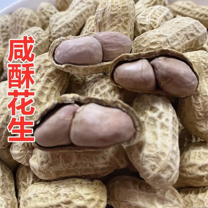 [ Giòn thơm ] Đậu phộng (Lạc ) phơi 1 nắng tẩm vị sấy giòn nguyên vỏ hiệu Long Yan ( gói 210gr ) ăn vặt đã nghiền