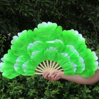 Quạt múa biểu diễn...