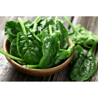 hạt giống rau bina ( cải bó xôi )