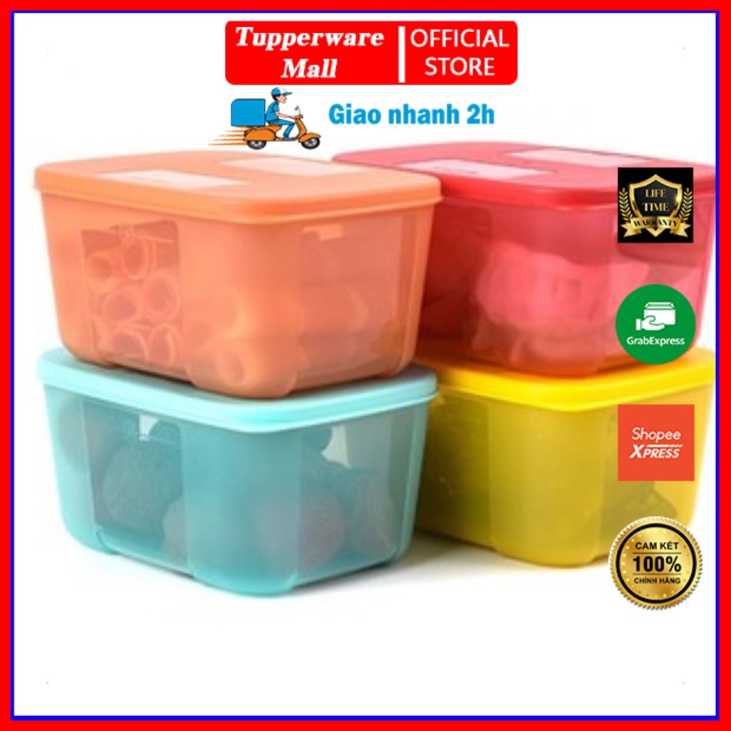 Bộ 4 Hộp Trữ Đông Tupperware Rainbow 650ml, Nhựa Nguyên Sinh An Toàn Cho Sức Khỏe