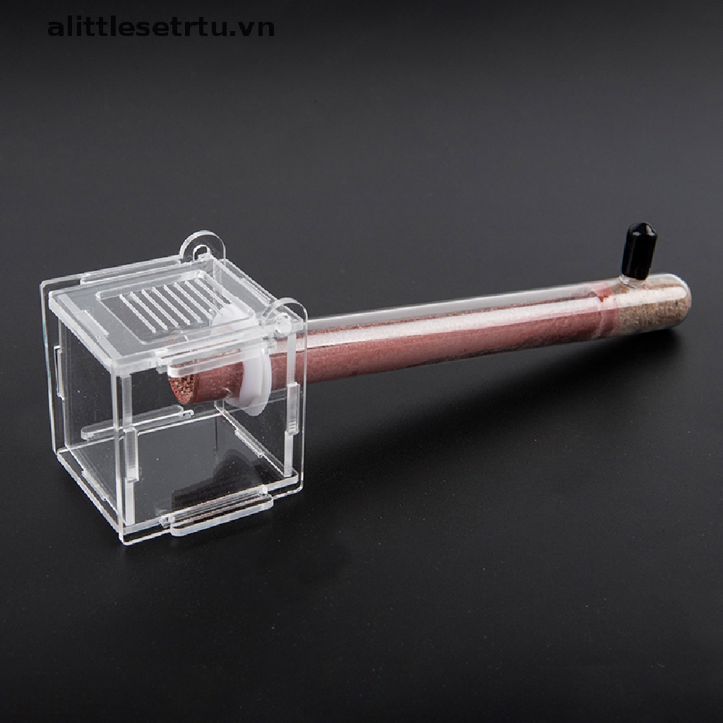 [alittlesetrtu] Ống Tre Đựng Kiến Nông Trại DIY Thân Thiện Với Môi Trường + Giá Đỡ Cho Cửa Hàng Làm Việc