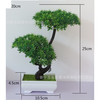 Chậu hoa bonsai trang trí