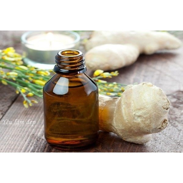 Tinh dầu gừng (Ginger oil) 10ml - 30ml - 50ml - 100ml | BigBuy360 - bigbuy360.vn