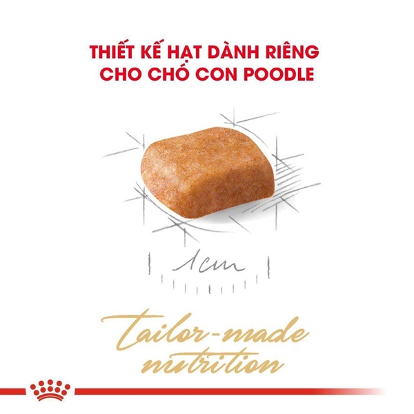 [Mã PET50 giảm 10% - tối đa 50K đơn 250K] [ CHÍNH HÃNG ] Hạt Royal Canin Poodle Puppy Cho Chó Con Poodle 500g 1.5kg