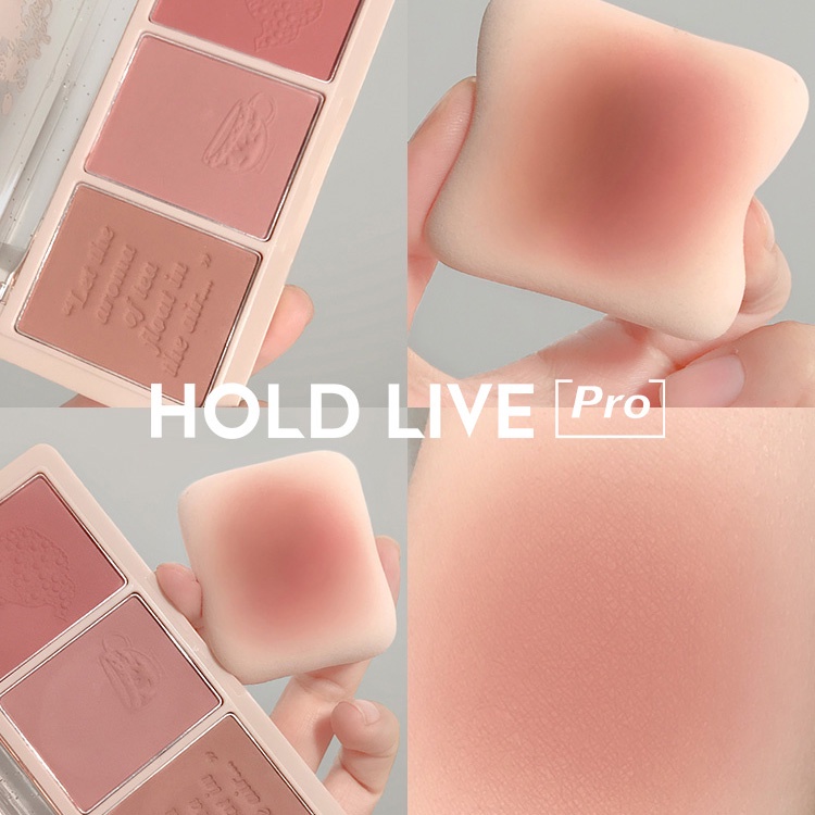 Bảng Má Hồng HOLD LIVE Secret Garden Blush