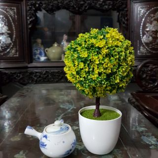 Cây hoa nhựa trang trí