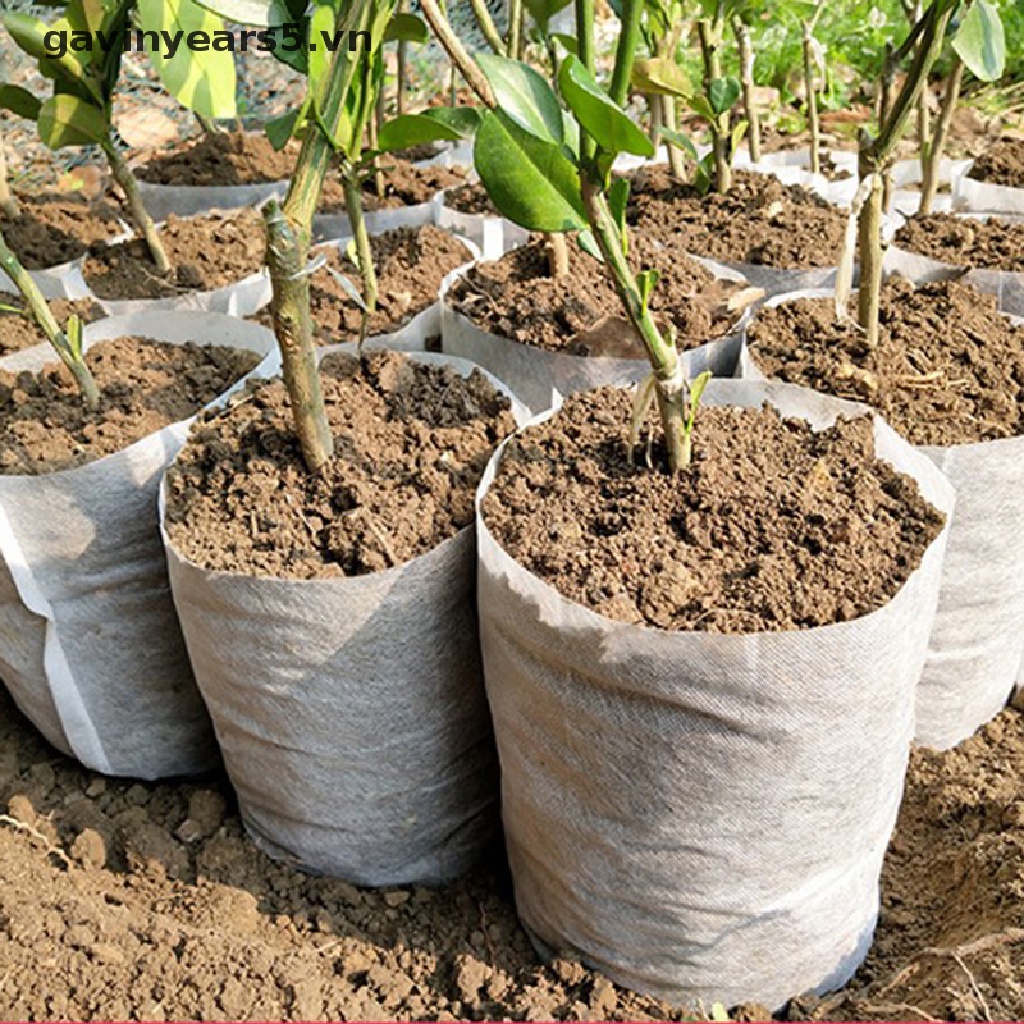 Set 100 Túi Vải Không Dệt Thân Thiện Với Môi Trường Có Thể Phân Hủy Sinh Học