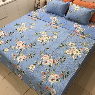 set ga phủ poly