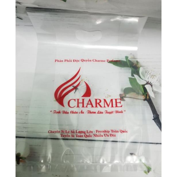 Túi nilon trong suốt đựng nước hoa ( 10cái )