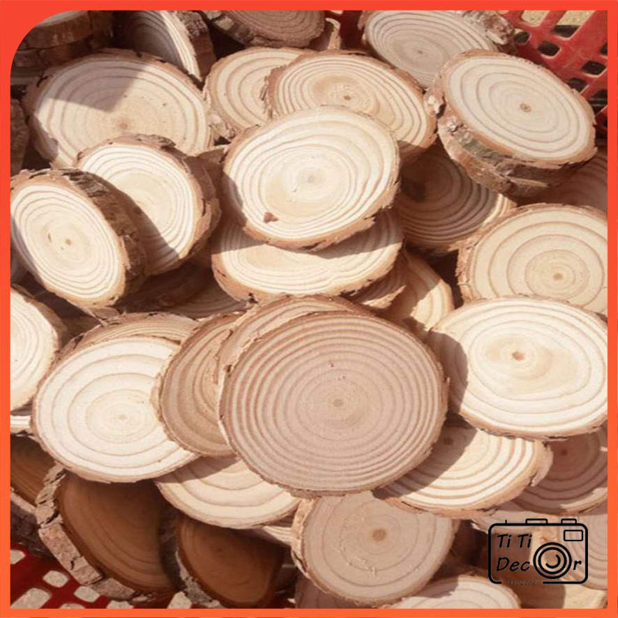Khoanh, miếng gỗ đạo cụ chụp ảnh sản phẩm, trang trí chụp ảnh, decor nhà cửa, cửa hàng - TiTi Decor