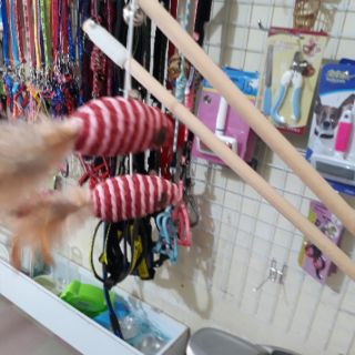 Cần câu mèo