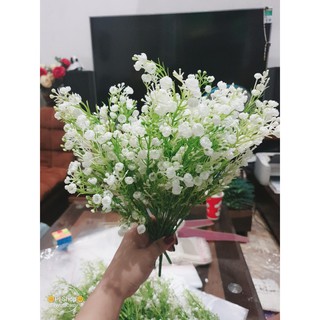 Hoa điểm cành giá rẻ