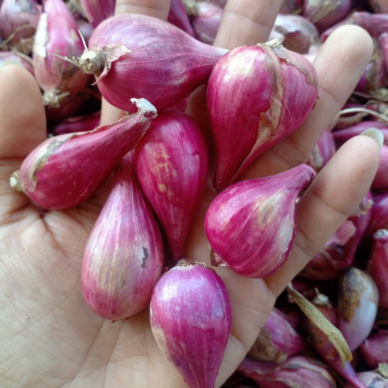 Hành tím Phan Rang chất lượng 1kg