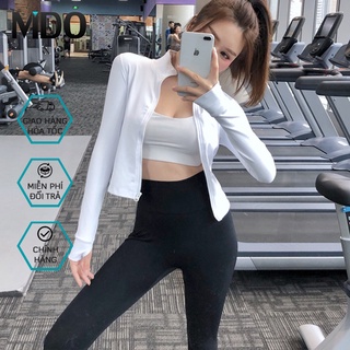 Áo khoác thể thao nữ tay dài AK12, kiểu áo nữ ôm eo, hack dáng, chất liệu co giãn, phù hợp tập gym, yoga, zumba
