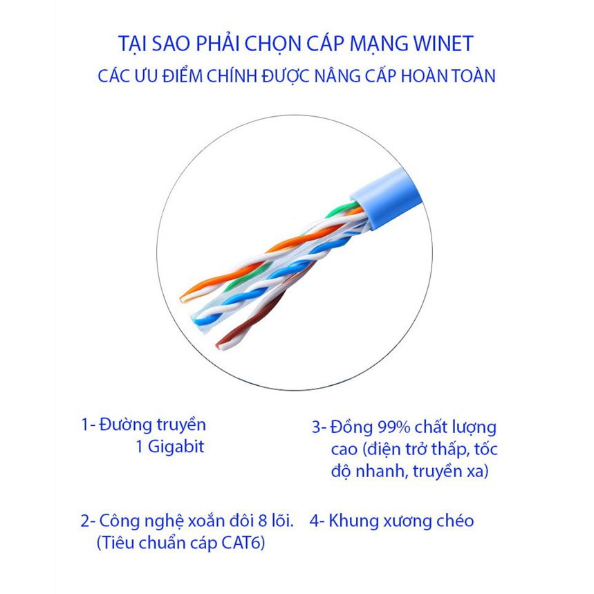 Cáp mạng đúc sẵn Cat6 đầu kim loại Winet kết nối internet cho máy tính,nối từ wifi đến máy tính