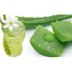 NƯỚC LÔ HỘI NHA ĐAM HÀN QUỐC 180ML