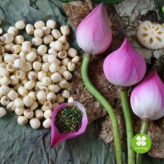 Hạt sen khô (gói 1kg) - TD108