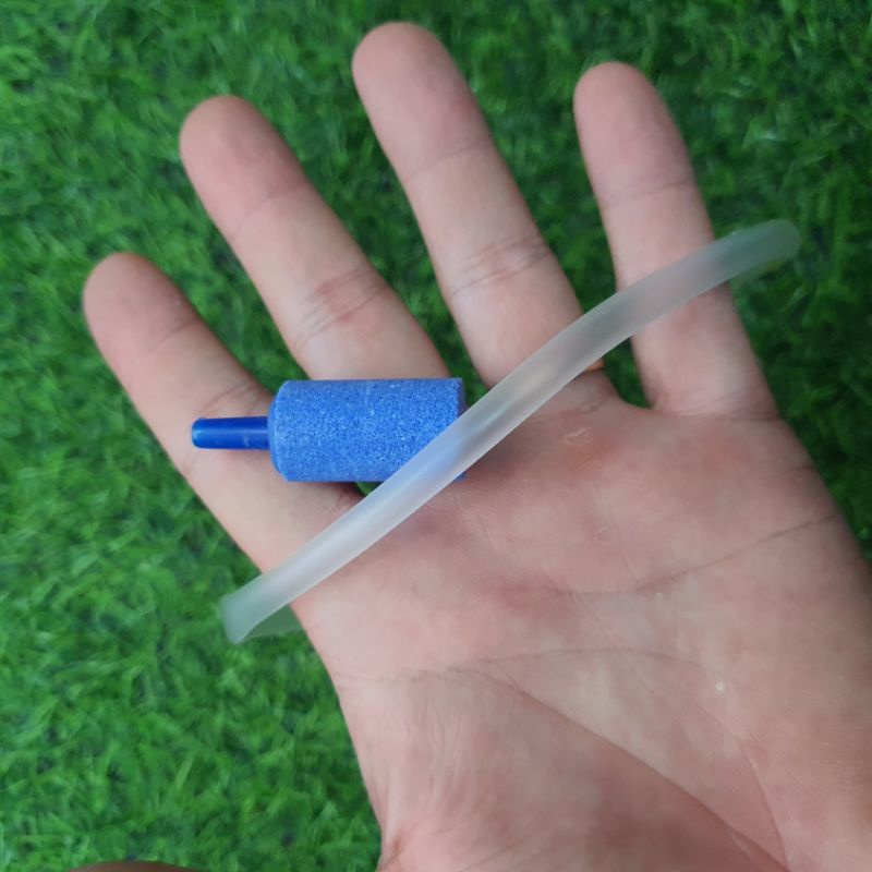 Cốc sủi oxy chống văng nước - cốc sủi thủy tinh chống bắn nước bể cá ( Tặng kèm dây sủi và quả sủi )