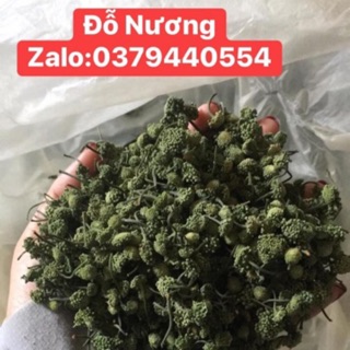 Nụ Hoa Tam Thất Bao Tử phơi khô!giá lẻ ngang giá sỉ! 500gr