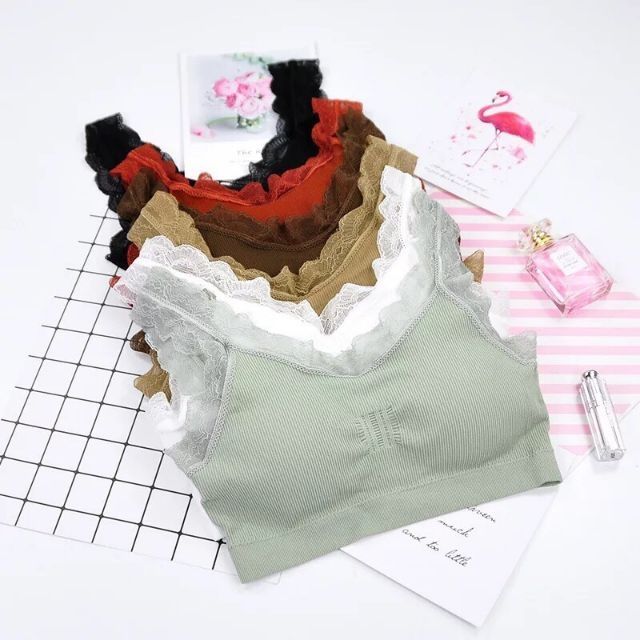 Bra gân viền ren điệu đà 215 | BigBuy360 - bigbuy360.vn