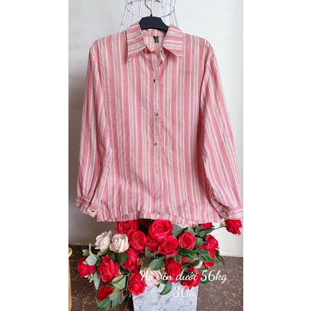 Áo vin dài tay kiểu