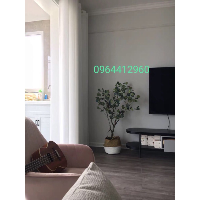 Cây bạch đàn giả kèm giỏ cói - cây lá táo trang trí nhà cửa 130cm - Hằng decor