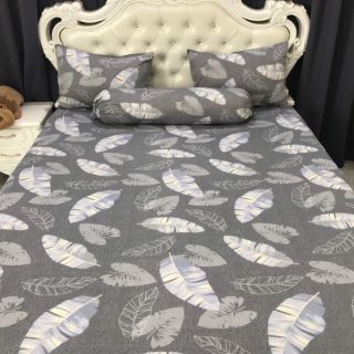 Bộ Drap Thun Hàn Quốc mát lạnh 4 món (Inbox nhiều mẫu lựa chọn)