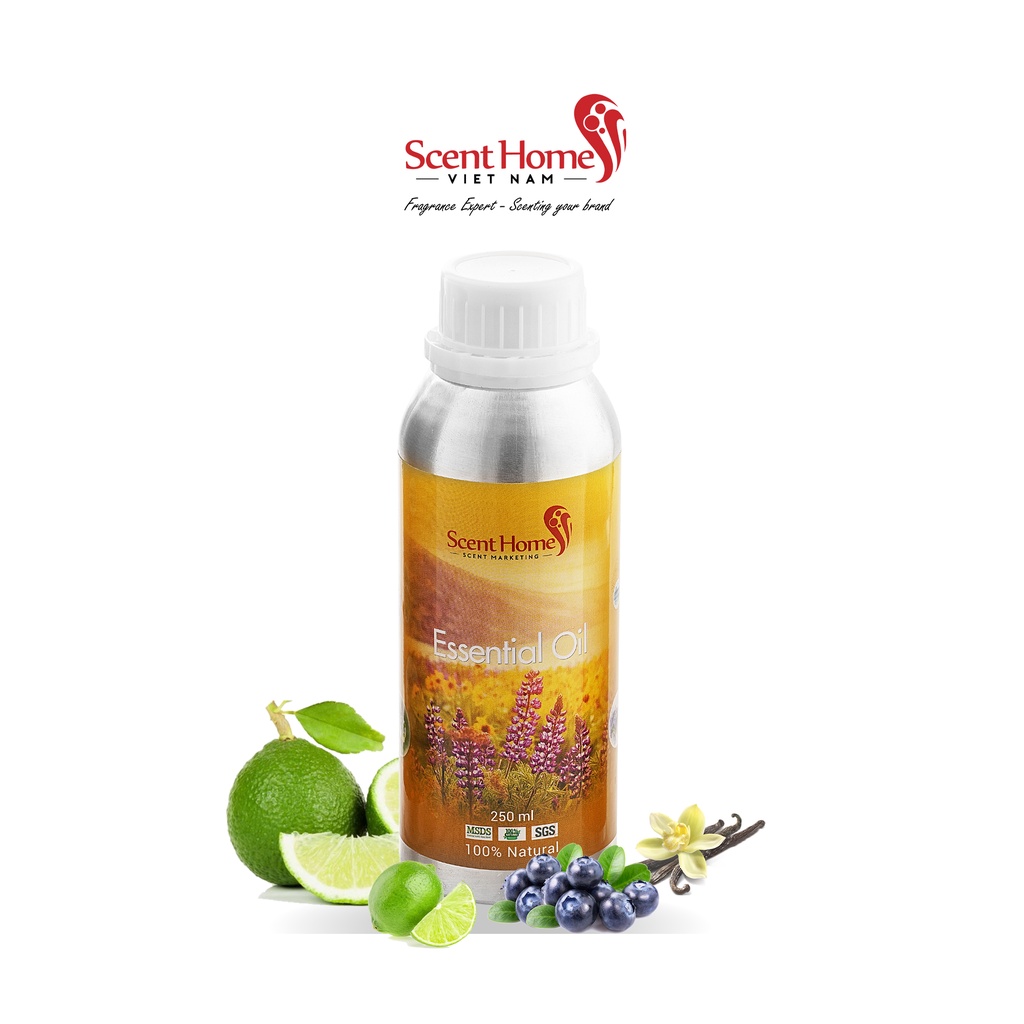 [Chính hãng] Tinh dầu Mississippi  - ScentHomes (Mississippi  - 50ml,100ml,250ml)