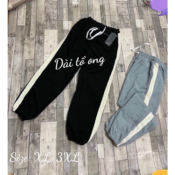 QUẦN THUN BO ỐNG