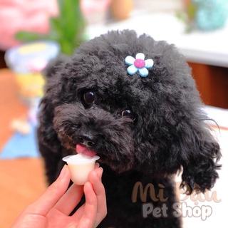 Pudding Sữa Dê - Thạch Sữa Dê Cho Cún