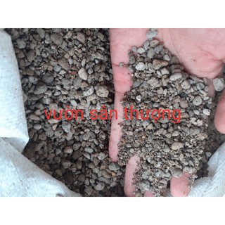 Đá Pumice (Đá Bọt Núi Lửa)  Size 3-6mm Chuyên Dùng Trộn Giá Thể Sen Đá, Xương Rồng